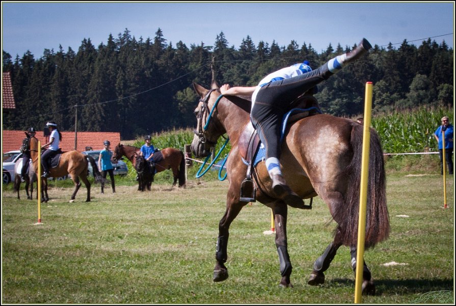 Mounted Games 054